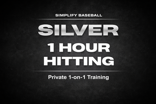 Silver - Hitting Session (1 Hour)