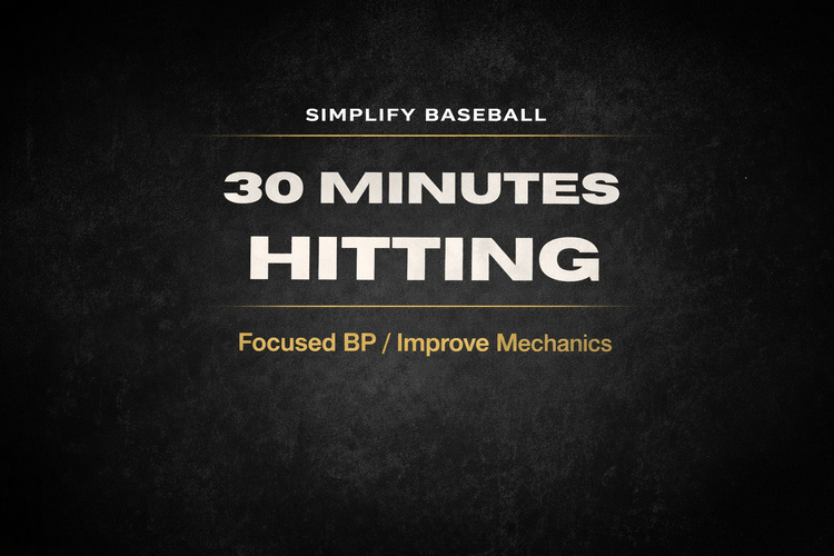 Hitting Session (30 minutes)